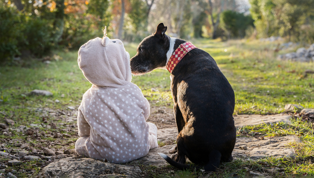 дети и животные