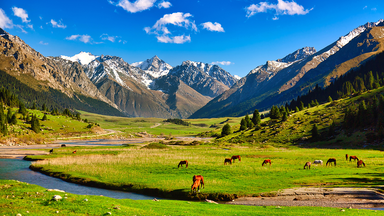 интересные факты