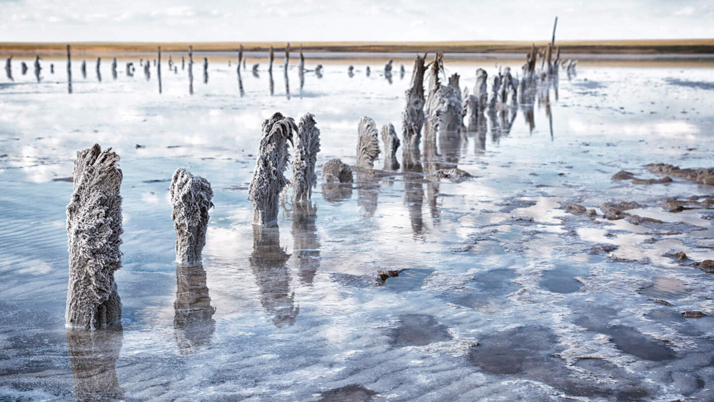 Озеро Эльтон