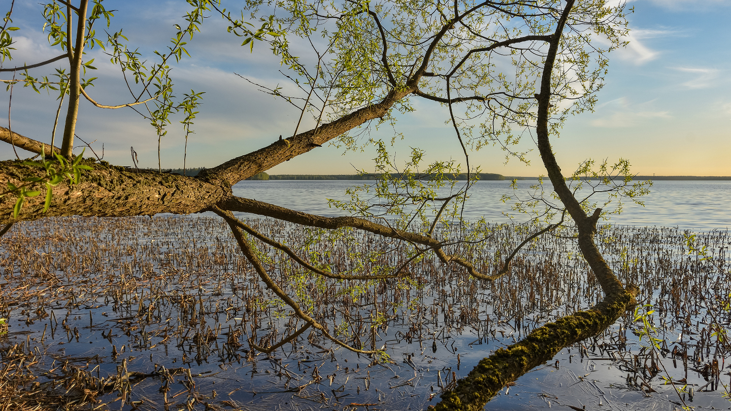Режим и тип питания