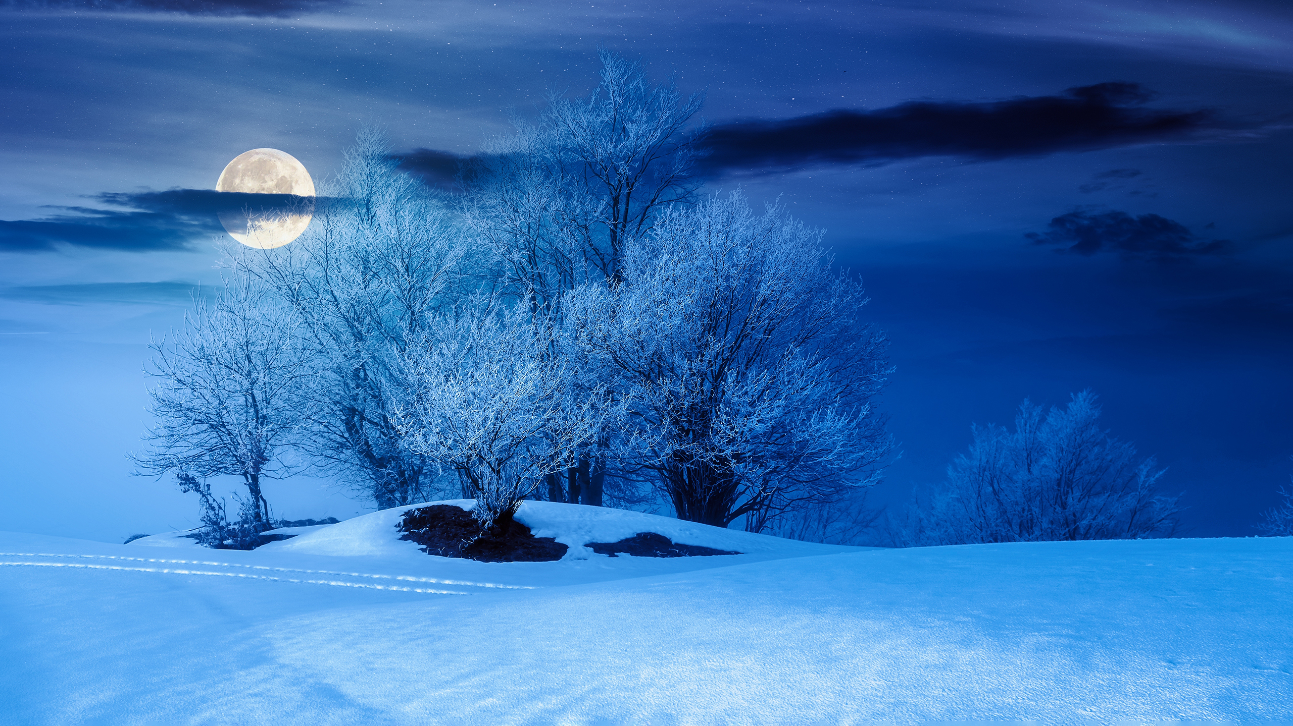 Снежная луна