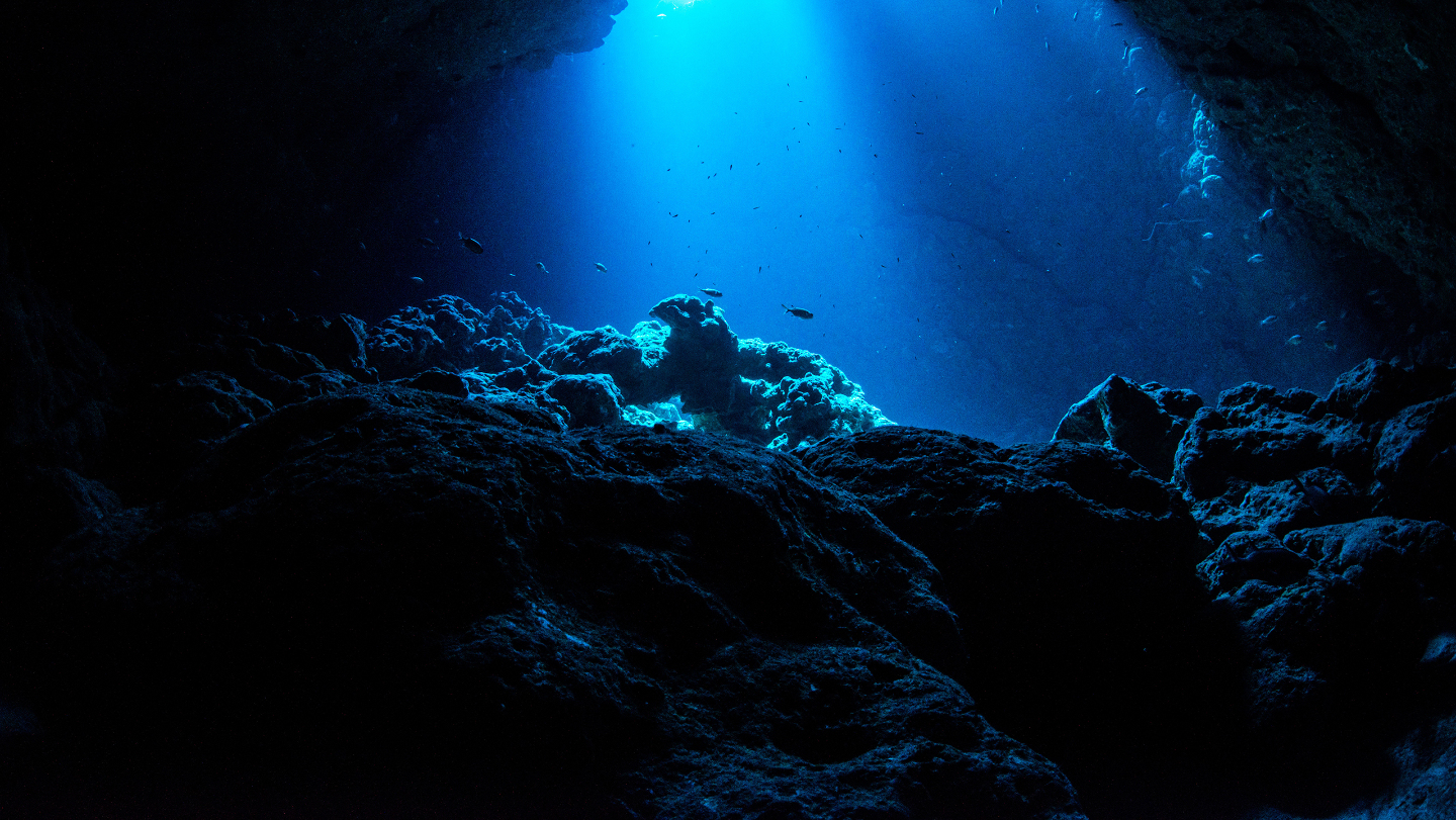 Где обитают