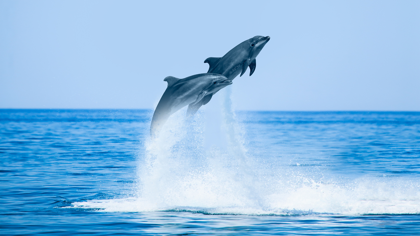 удовольствие