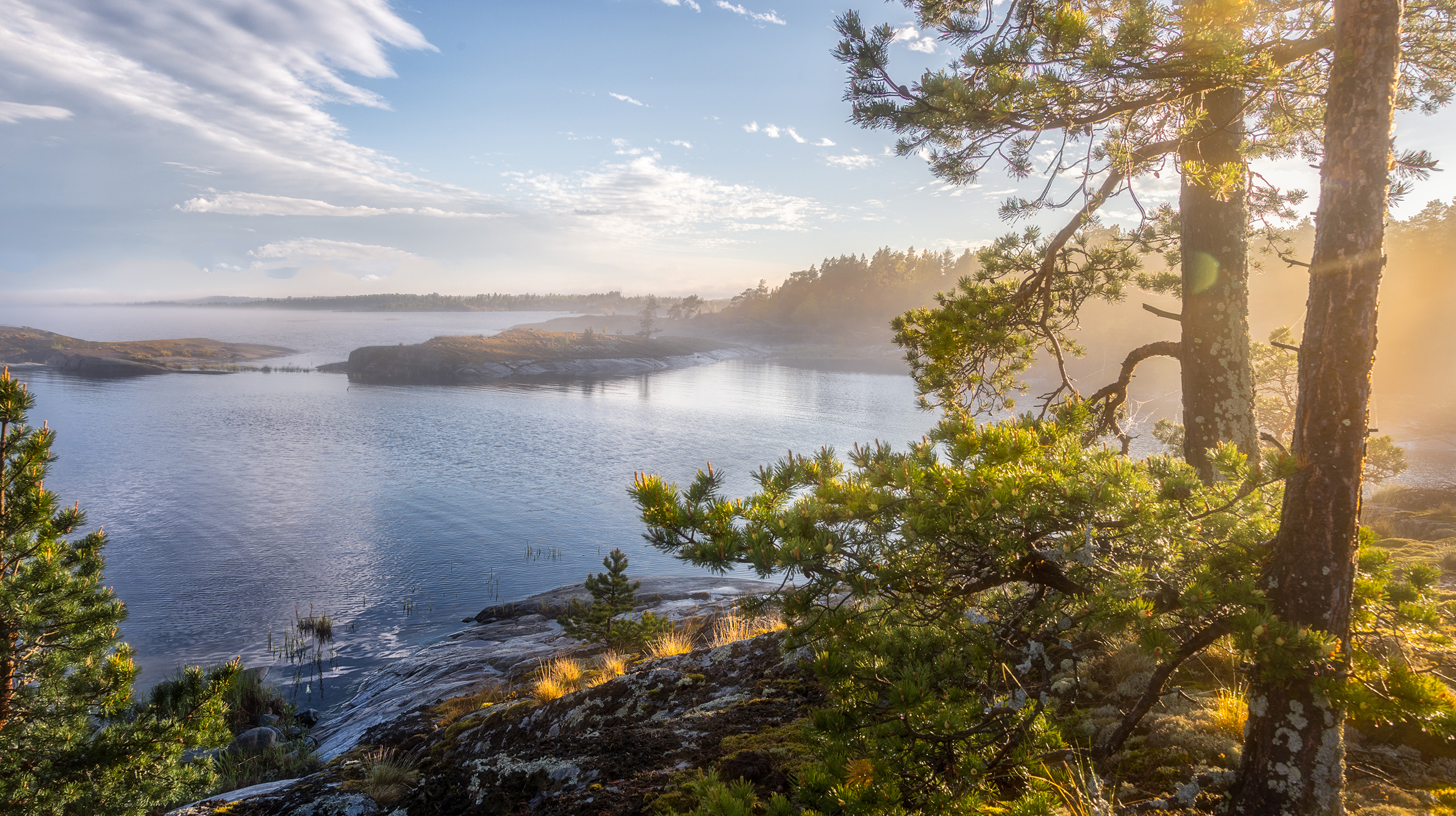 интересные факты