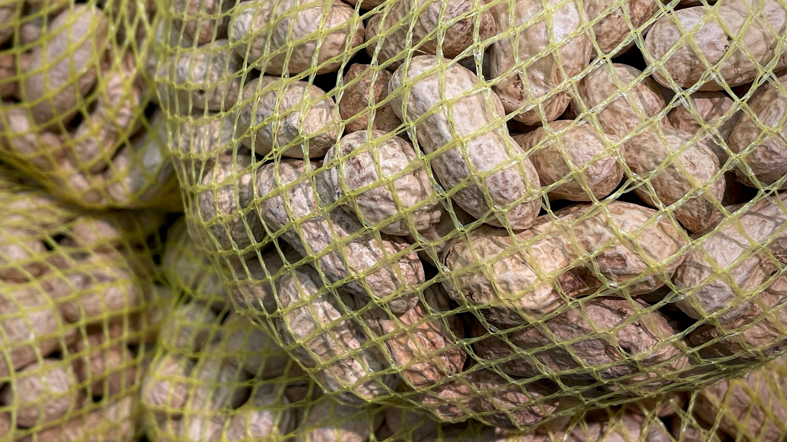 арахис, насекомые