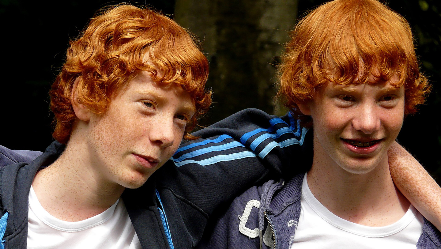 Близнецы на фестивале Redhead Day