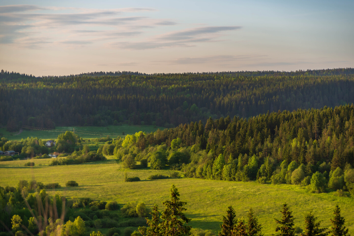 Гора Паасо Карелия