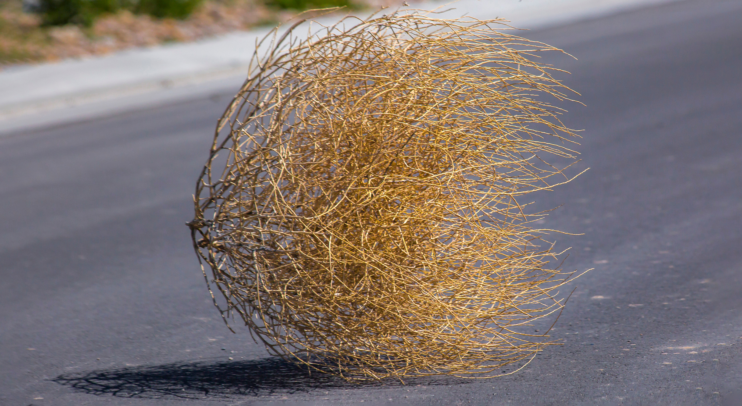 почему так называется