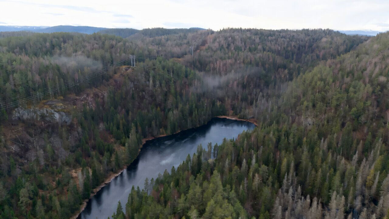 Редкоземельные металлы