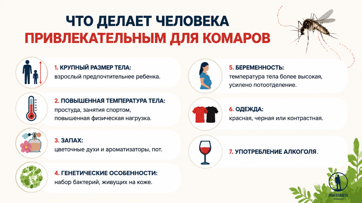 кого кусают комары