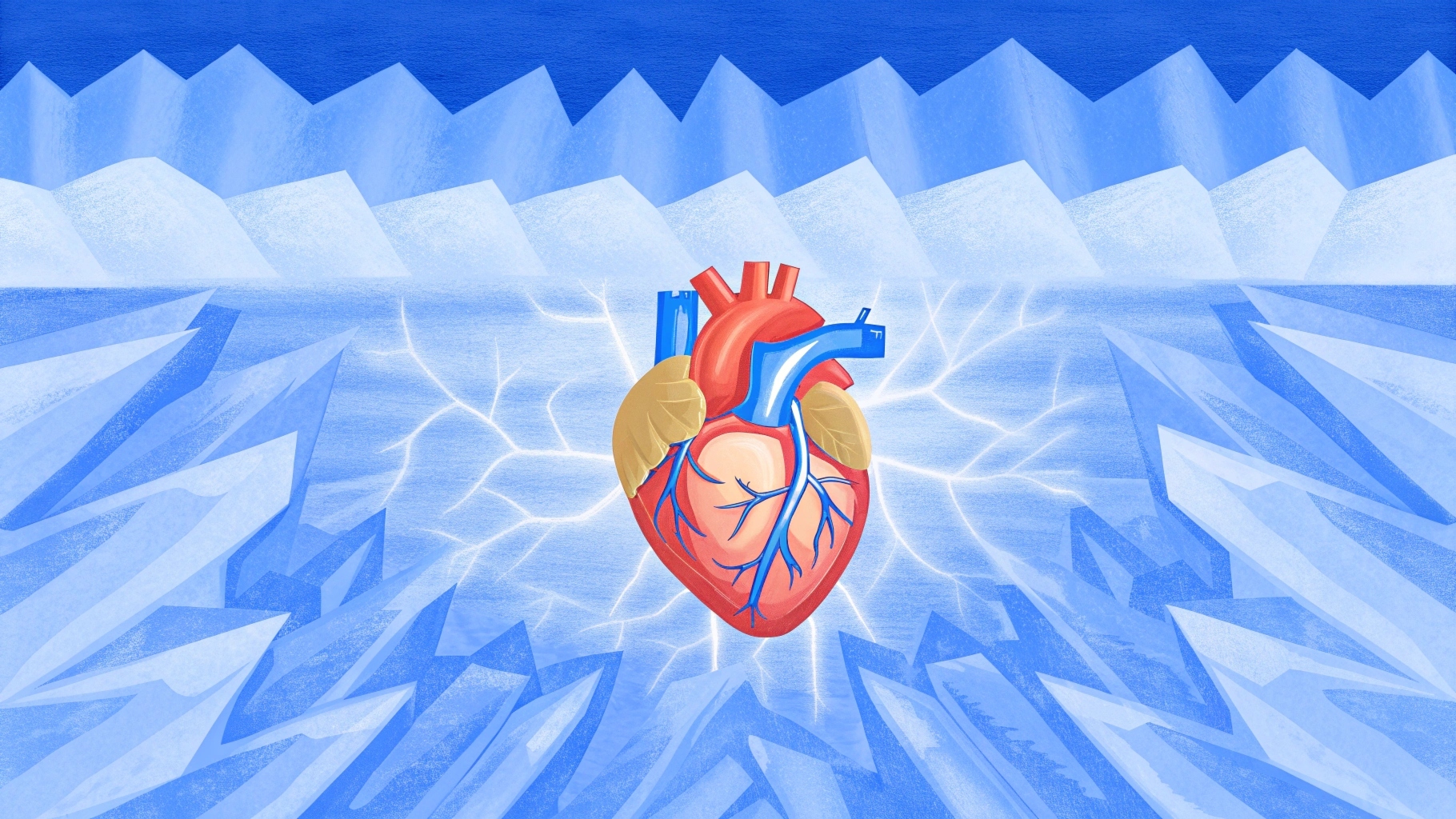 Организм, холодная вода