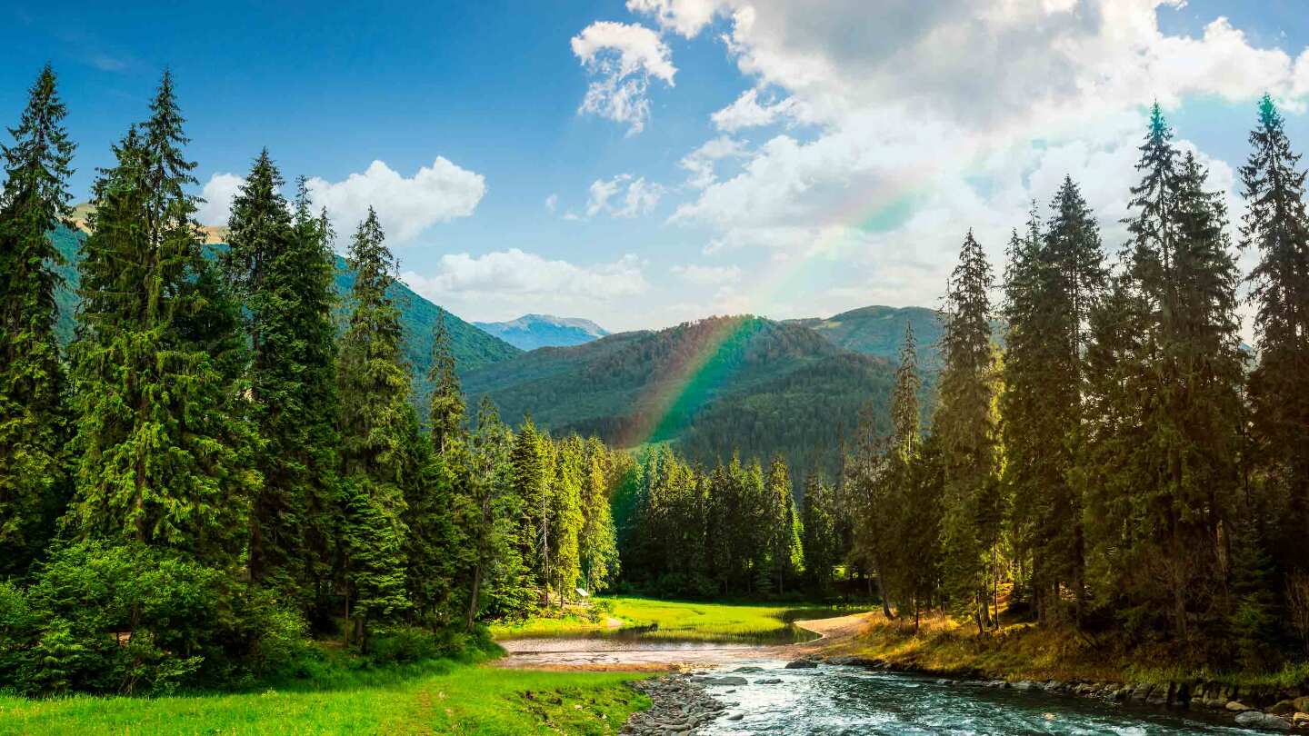 Курумканские леса 