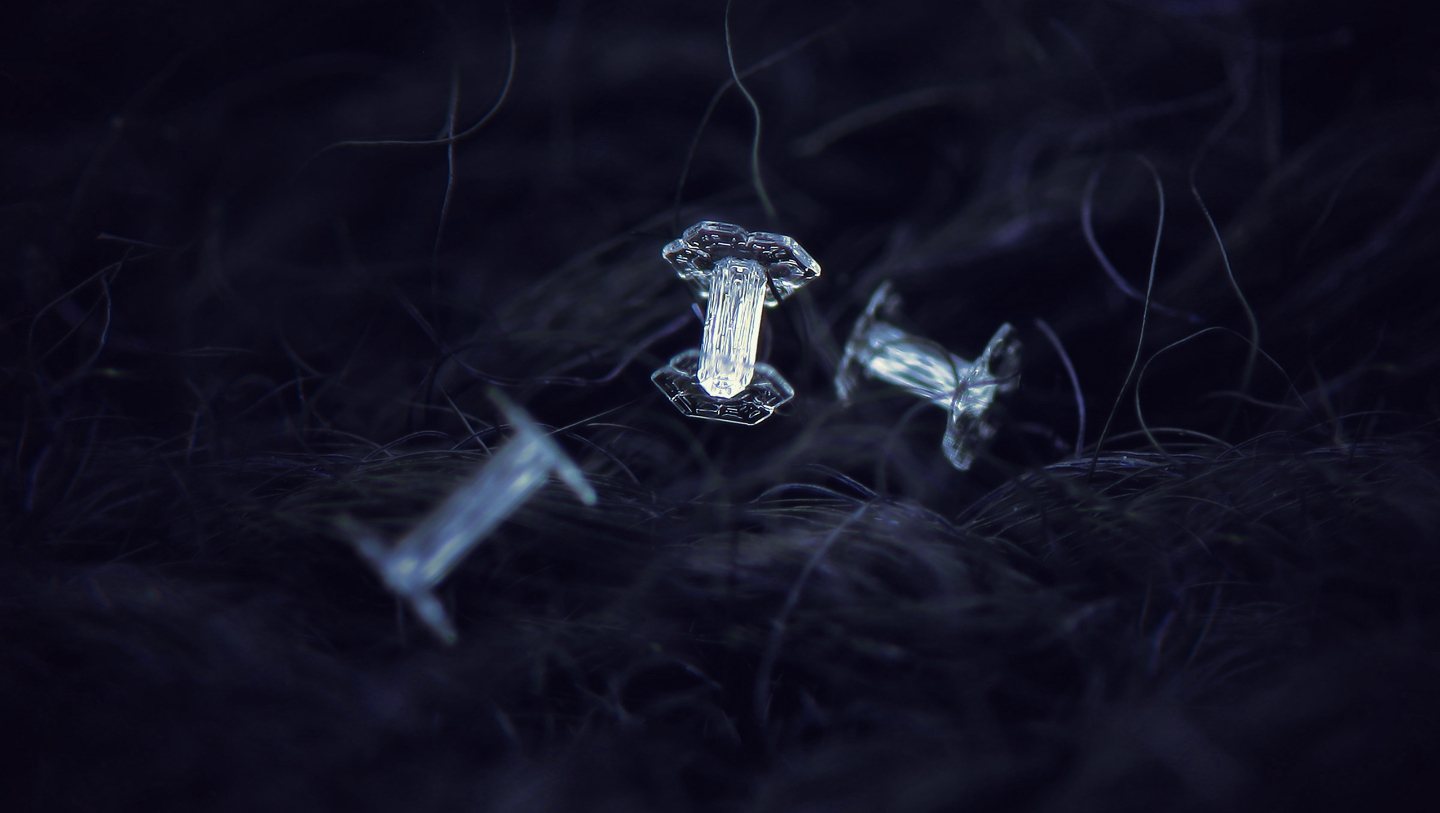 На скорость роста снежинки влияет степень перенасыщенности водяного пара