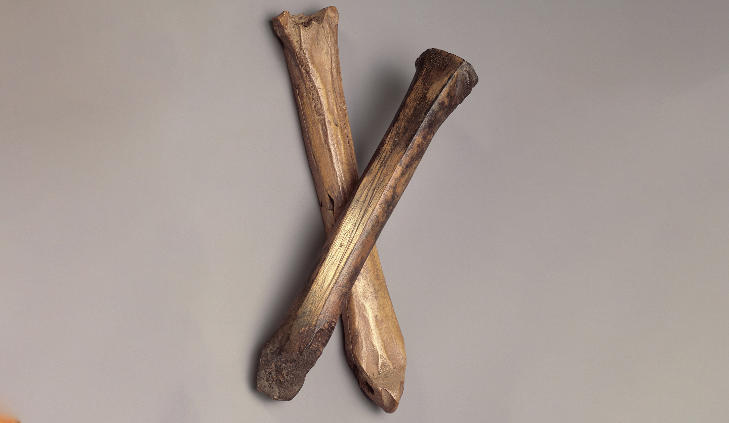 Древние коньки