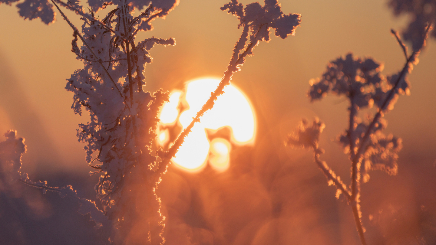 Времена года