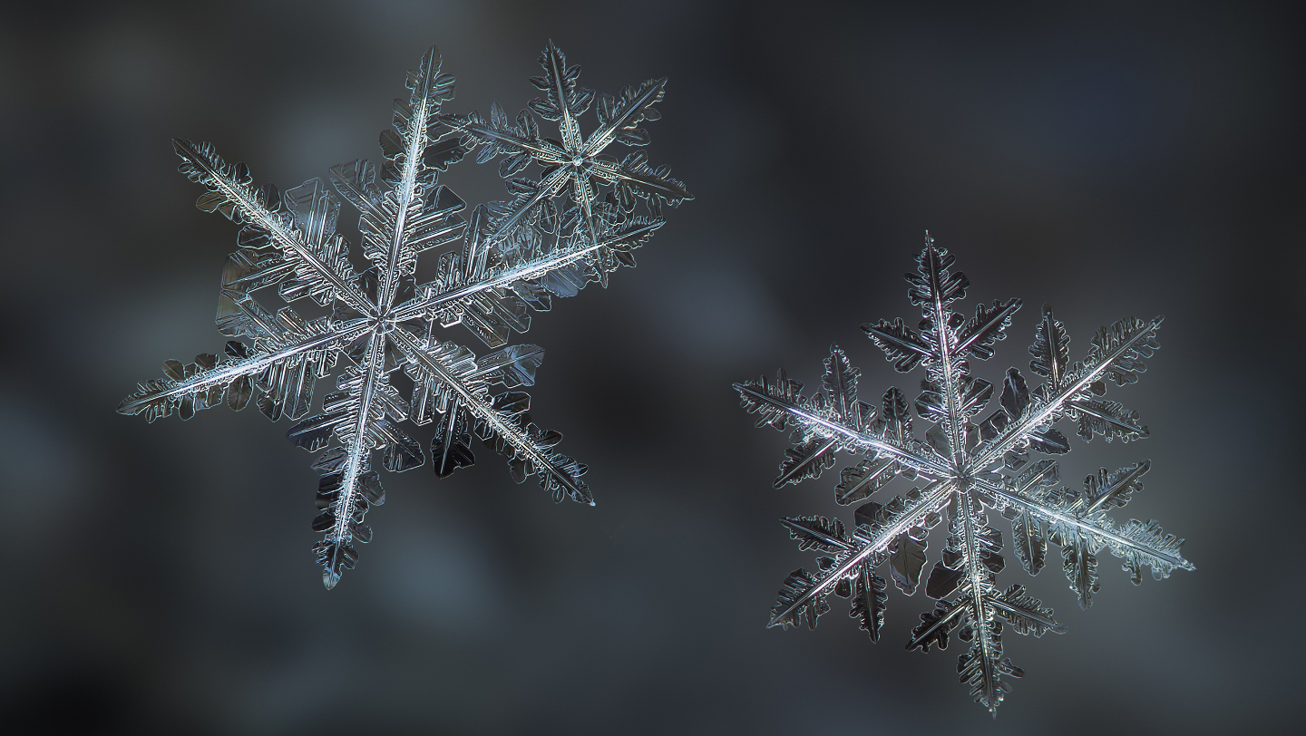 Так и у снежинки — ее «биография», записанная в форме лучей, неповторима