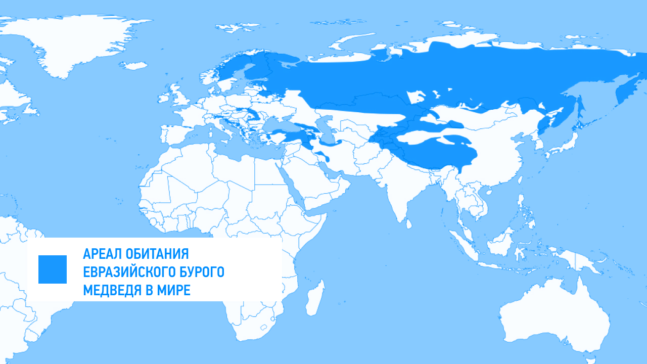 ареал обитания