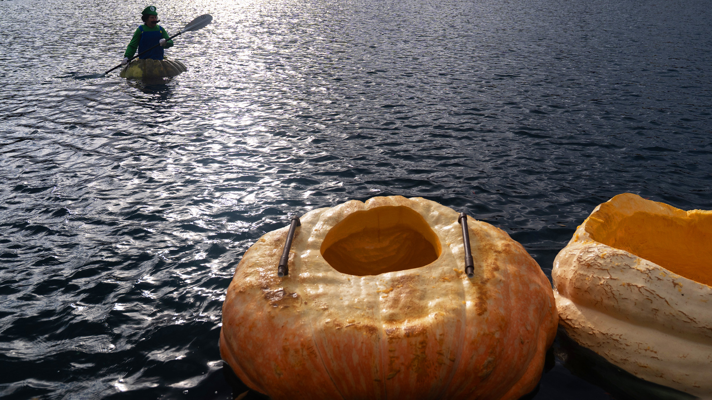 тыквенные регаты в России