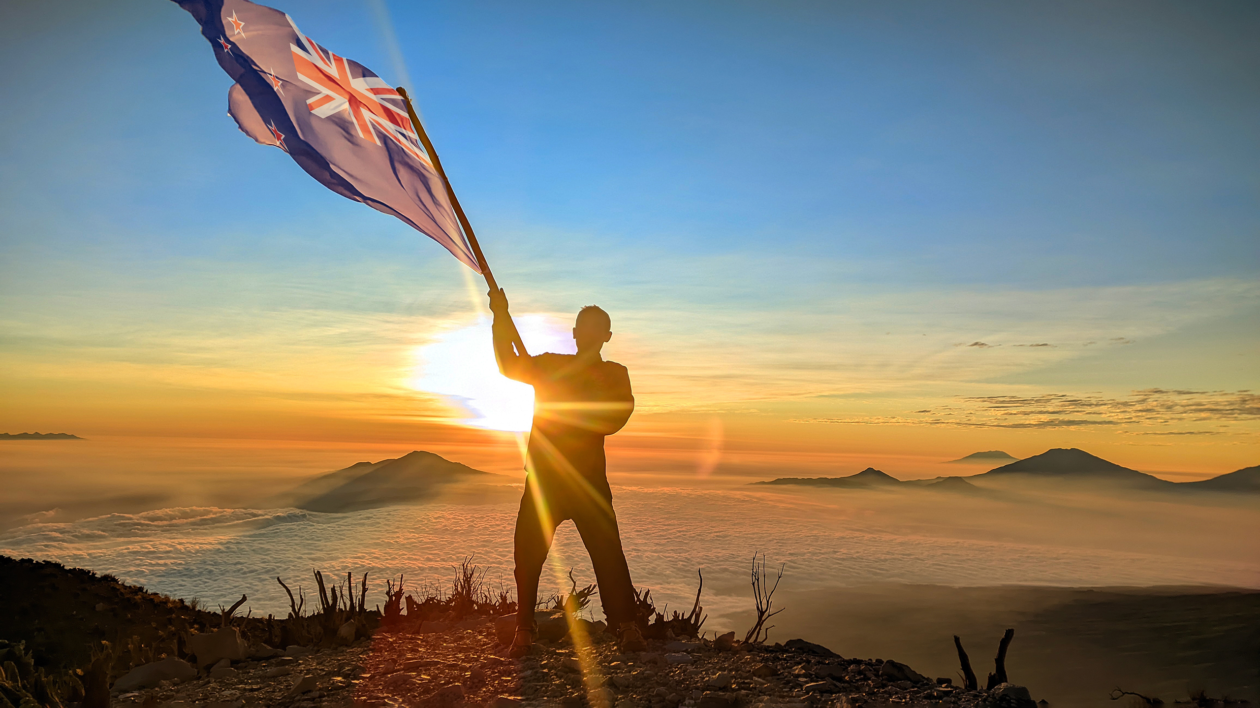 новозеландцы, киви