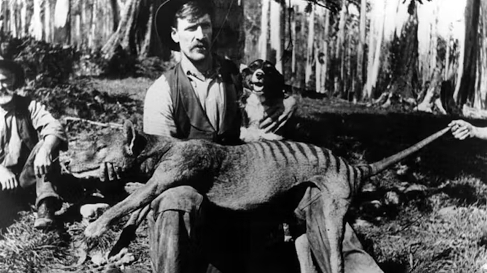 почему вымерли