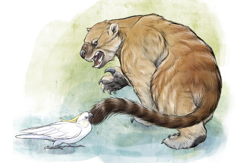 сумчатый лев