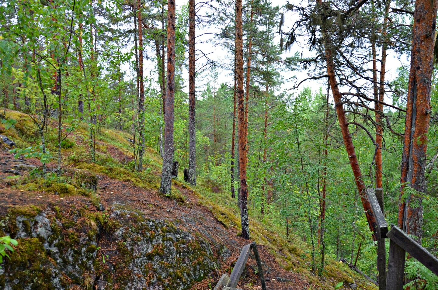 Гора сампо. Гора Сампо Карелия. Гора Сампо Карелия этнопарк. Гора Сампо Петрозаводск. Сампо гора Карелия высота.