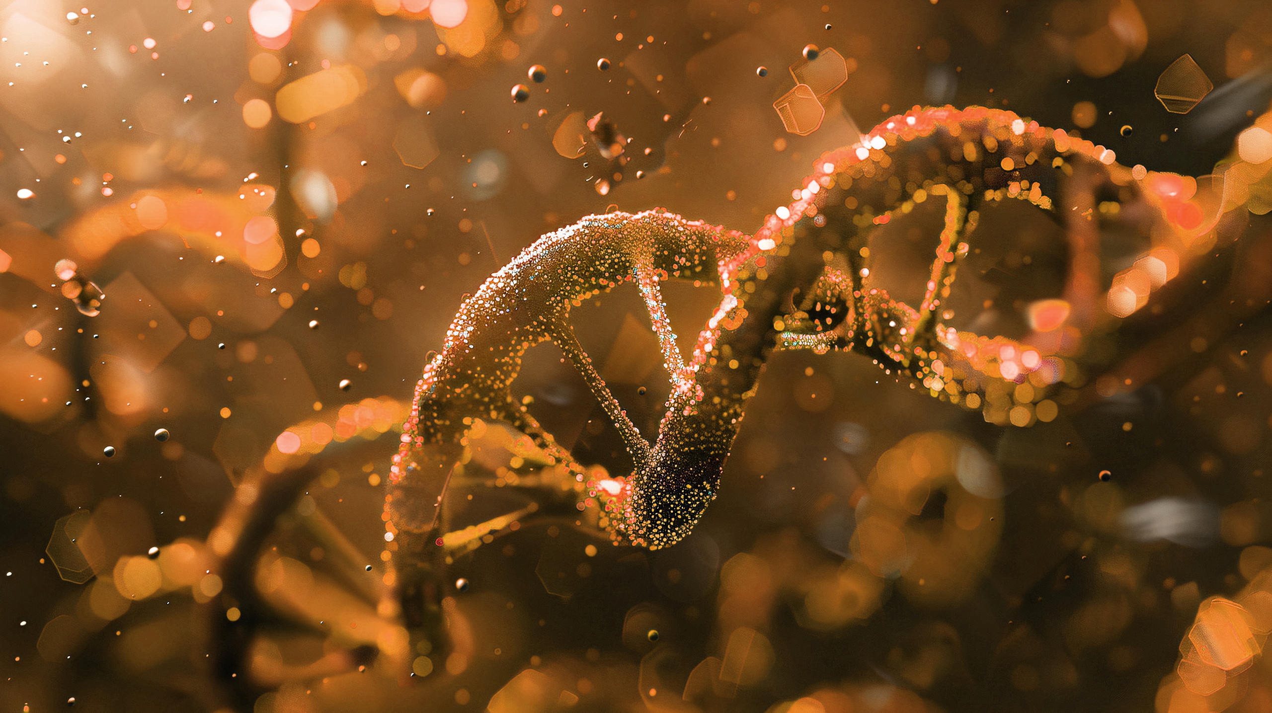 как появились языки, генетика