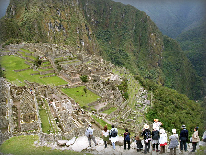 Орхидея machu Picchu