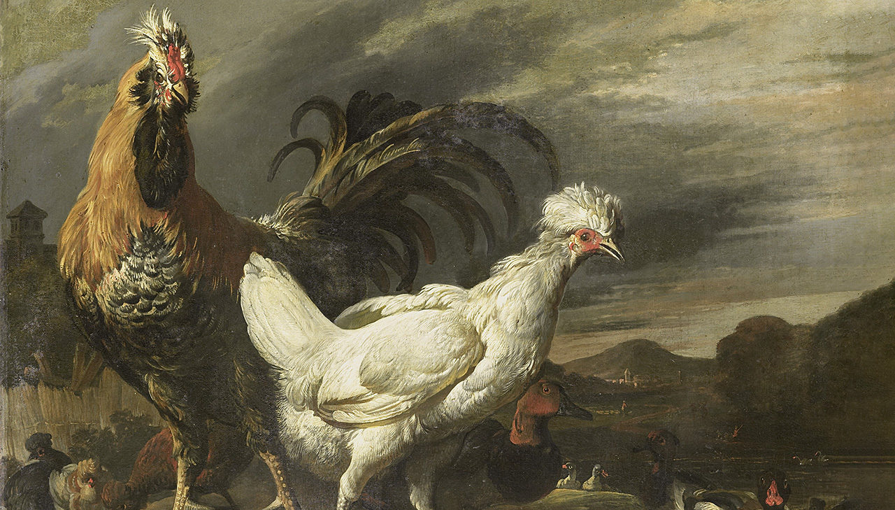 куры и древние люди