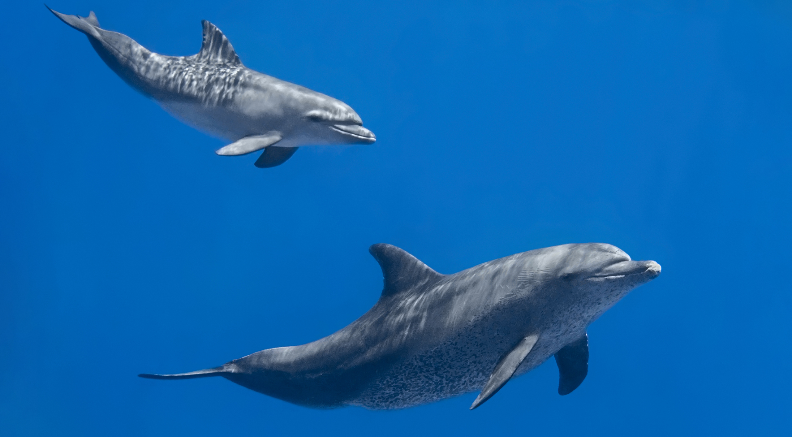 общение и ориентация в пространстве