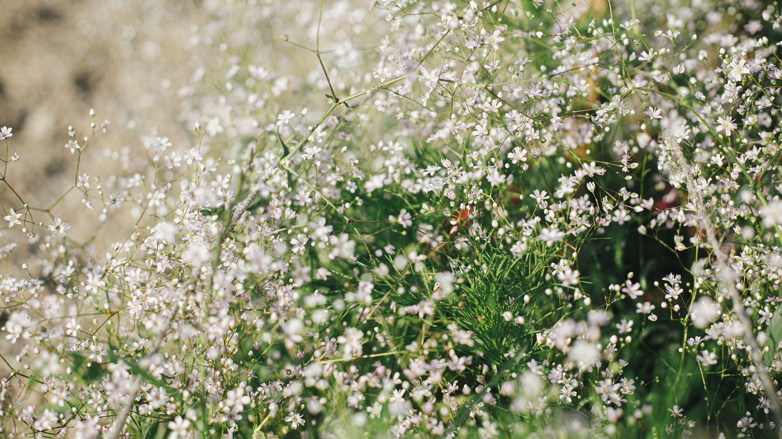 чем полезен