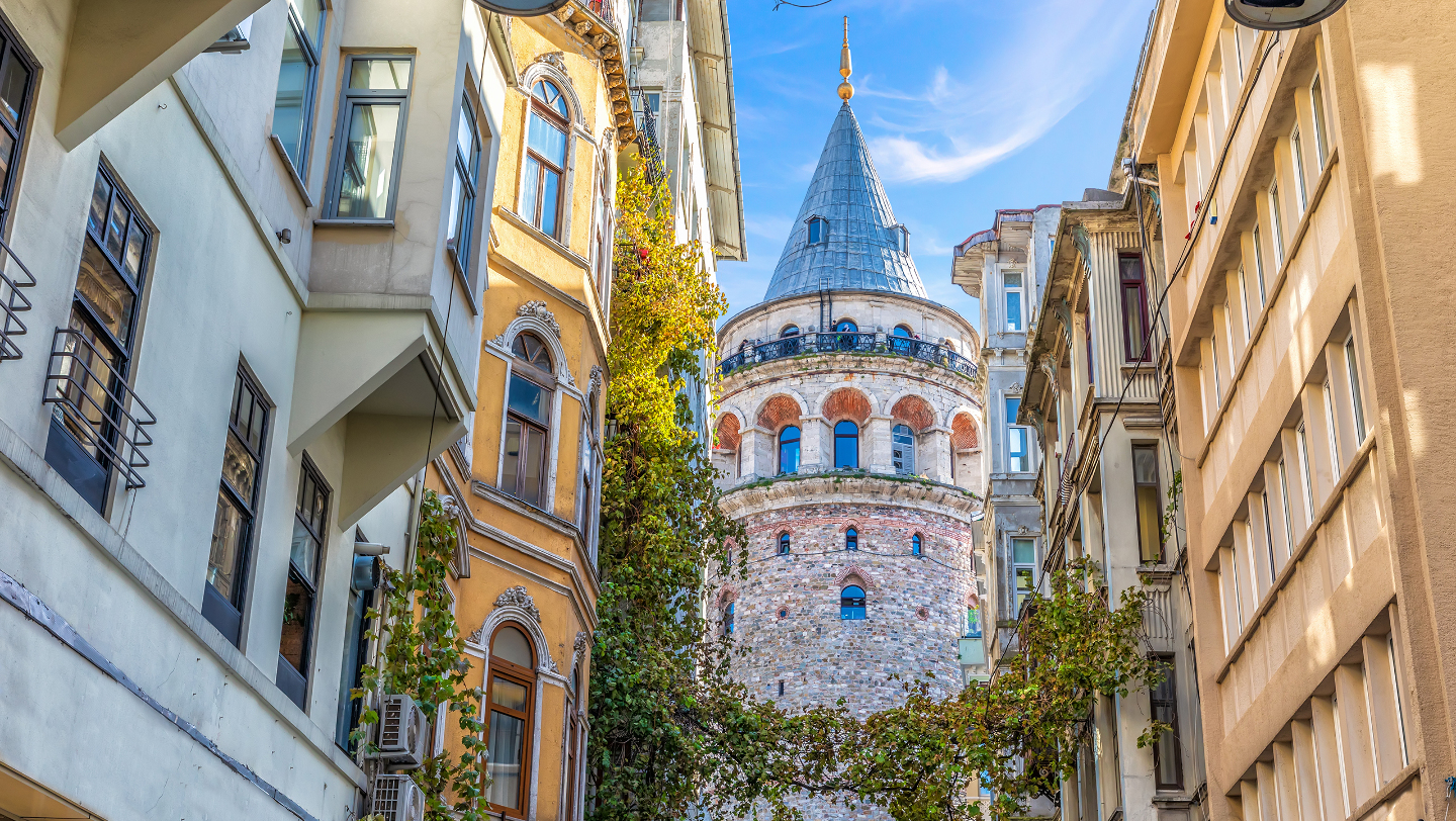 акции и распродажи