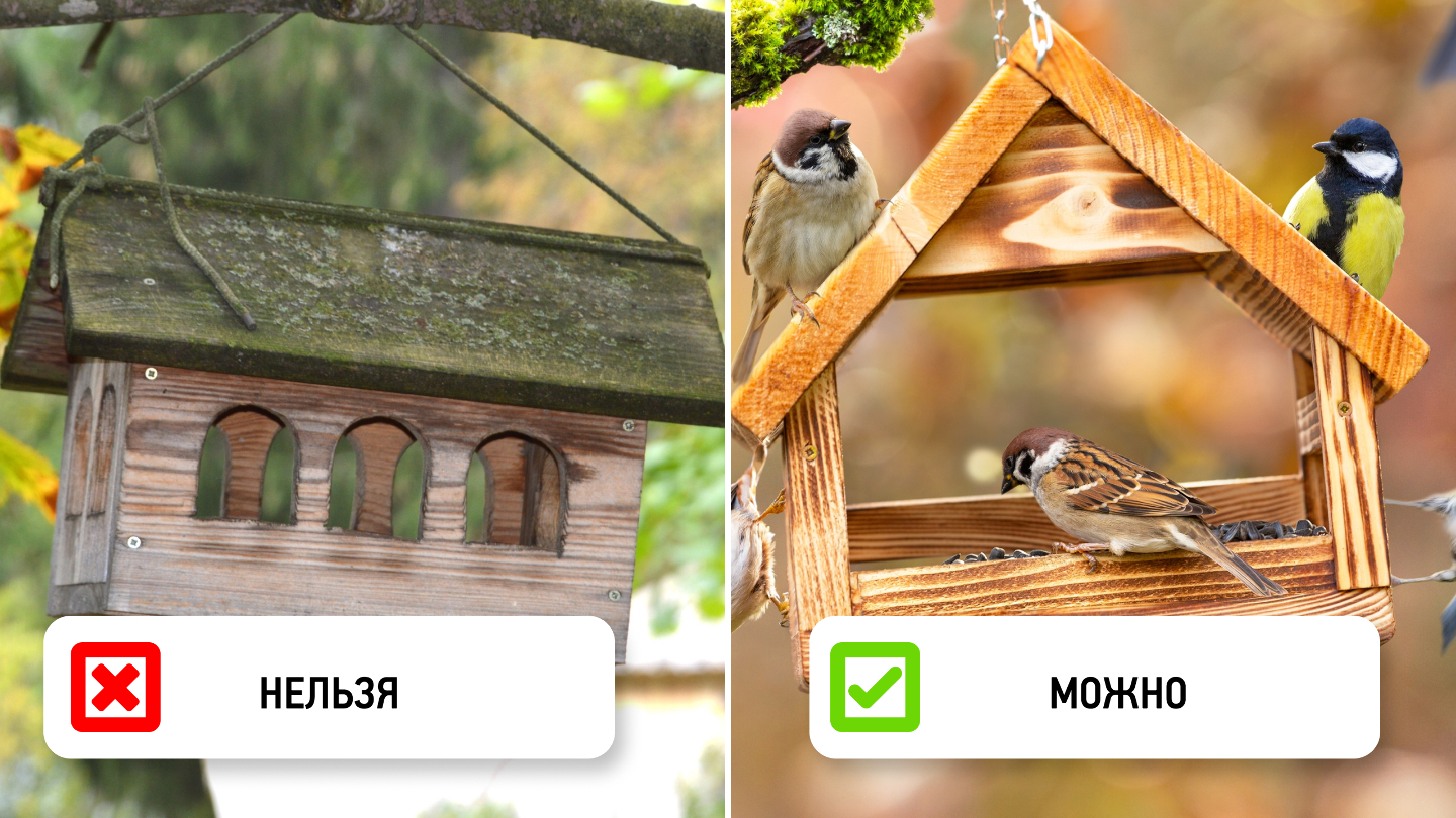 препятствия