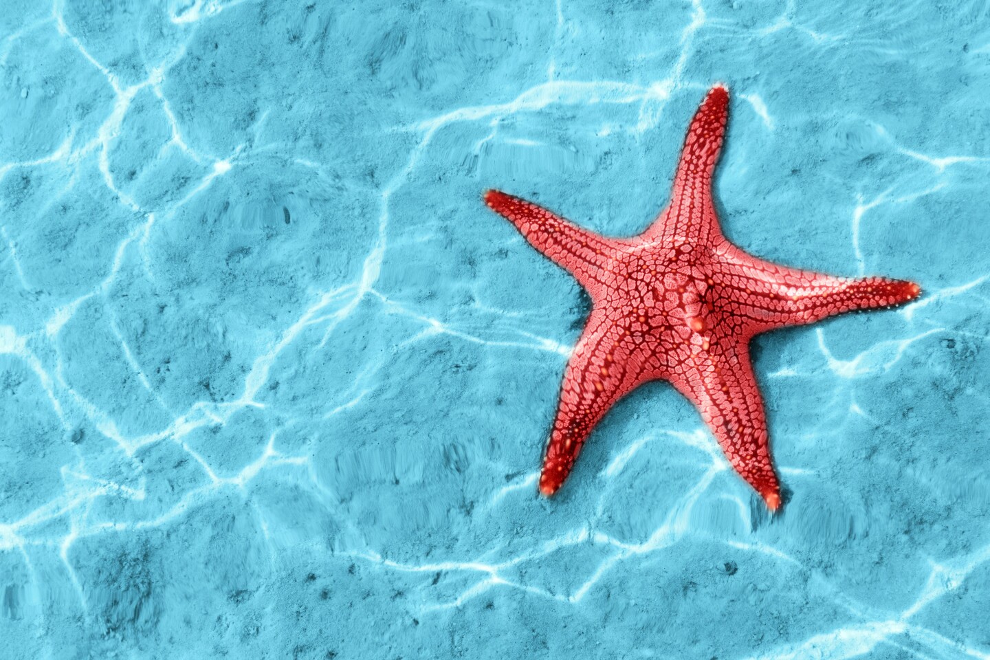 Efired/Shutterstock/FOTODOM