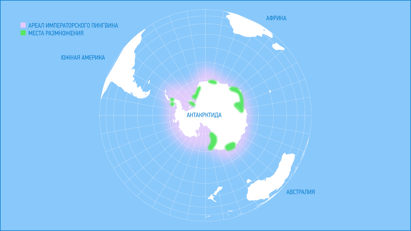 Где обитает