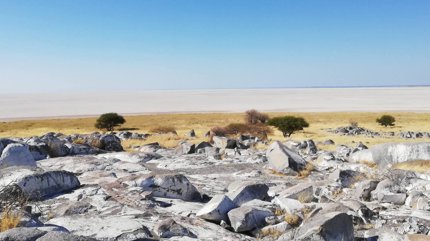 Соляная впадина Макгадикгади