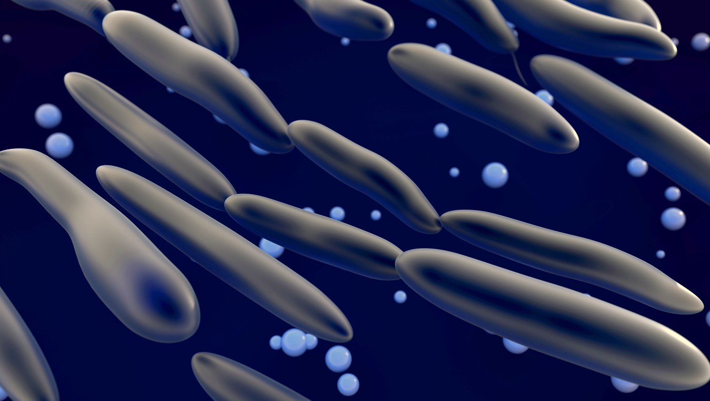 бактерии, нефть