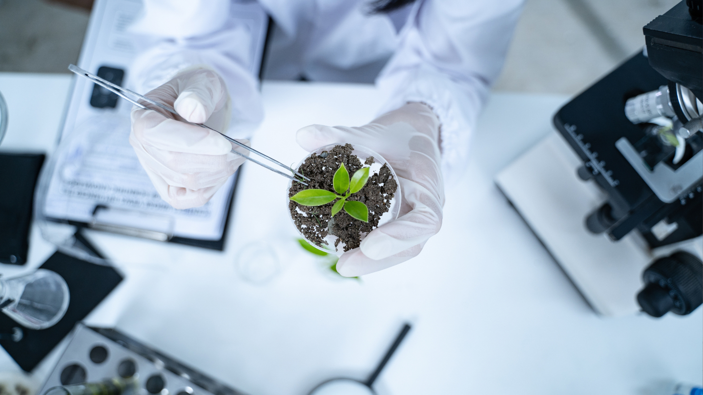 Растения, ученые