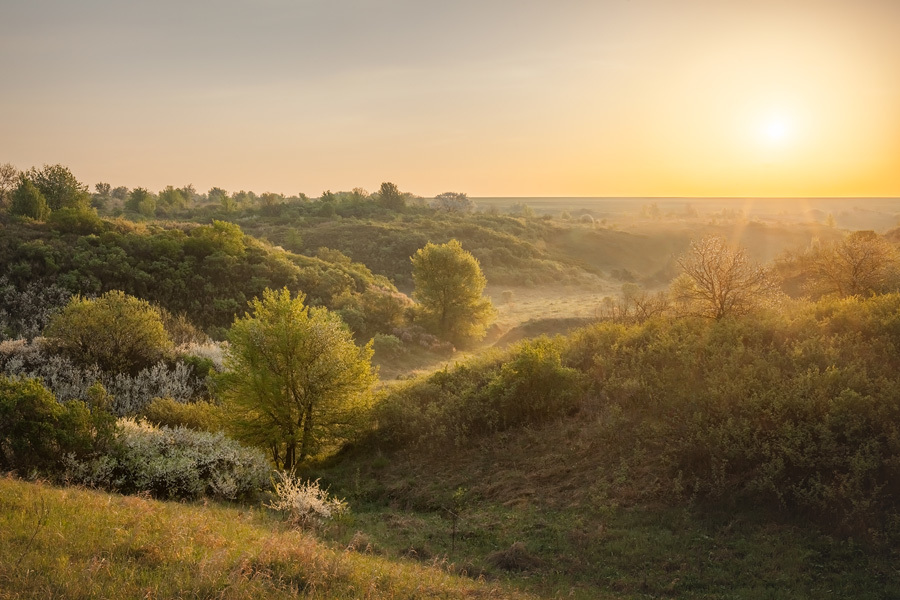 Фото заповедника алехина в курской области фото