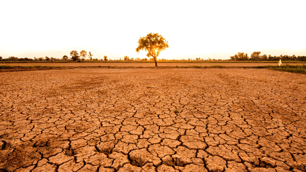 засуха, климат