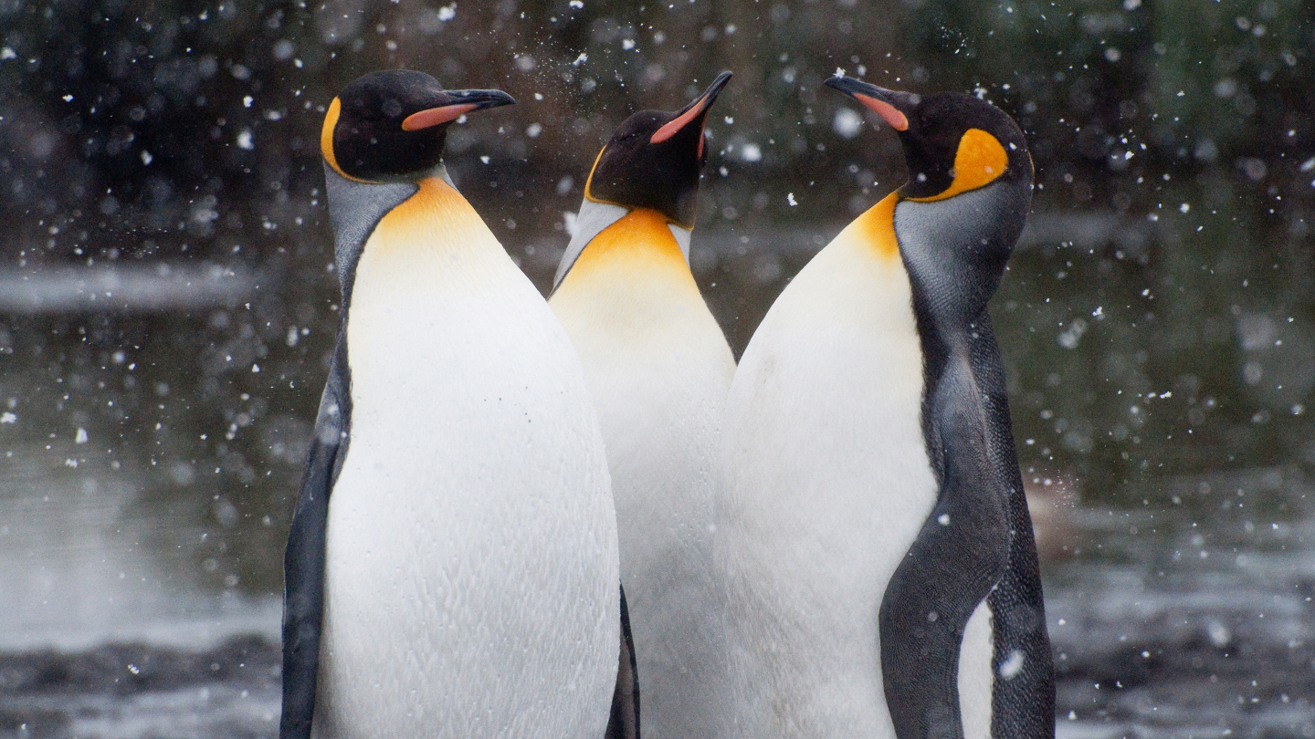 Интересные факты