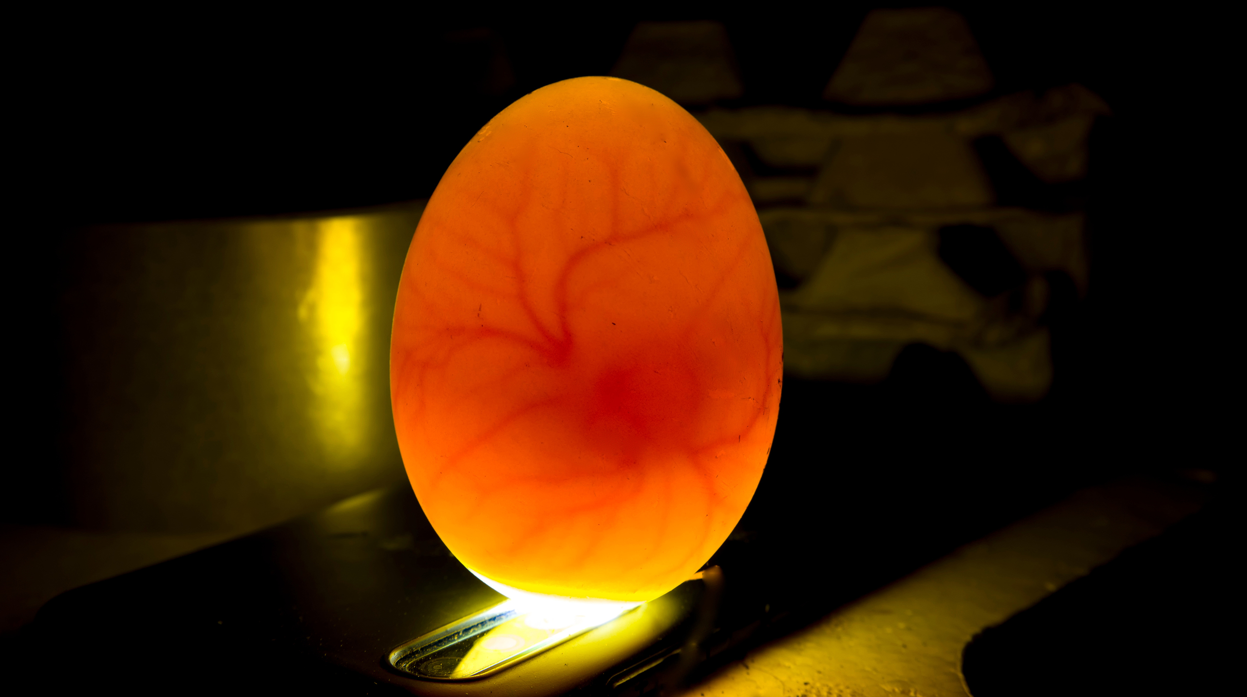 как работает газообмен