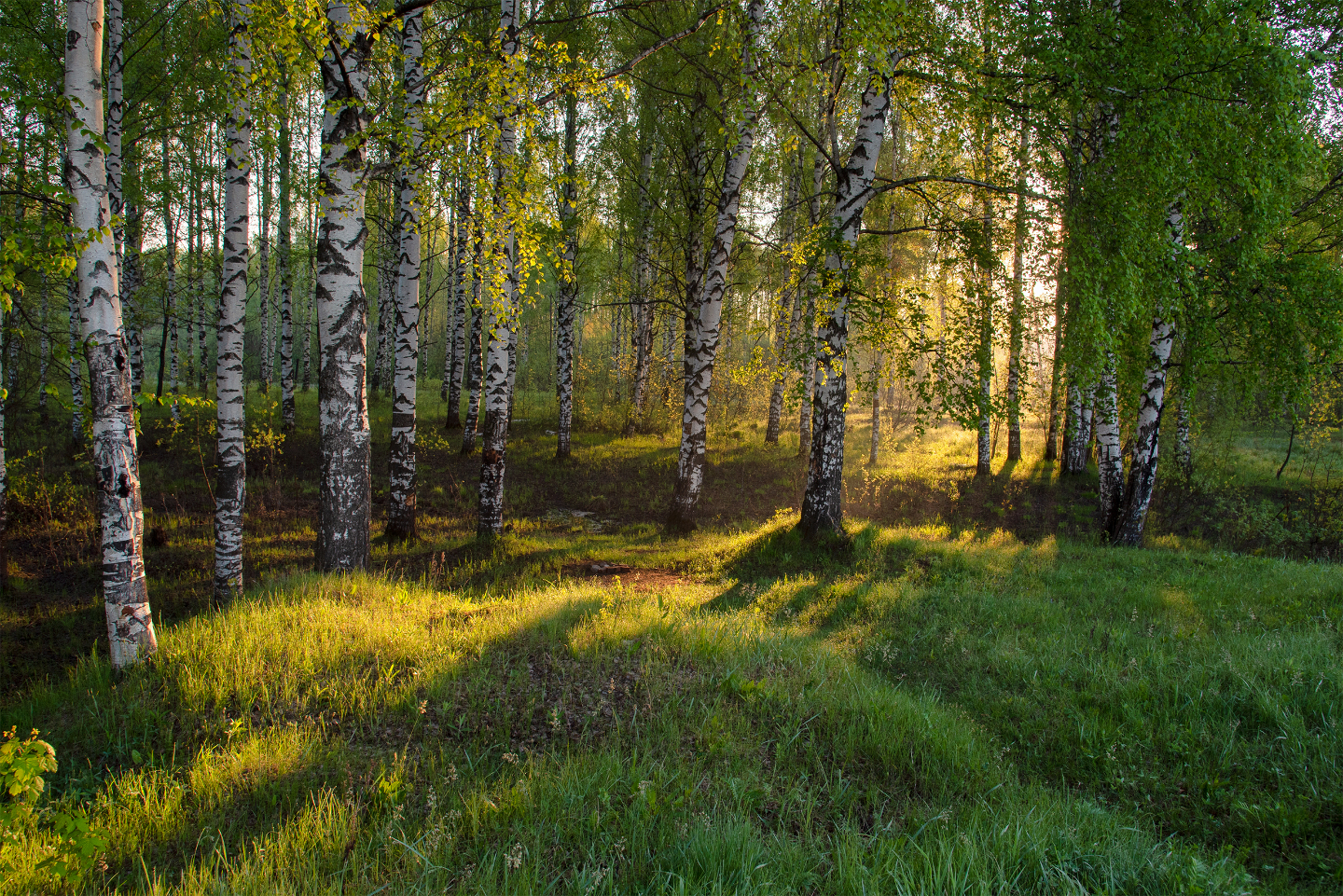 лучшие фото природы россии