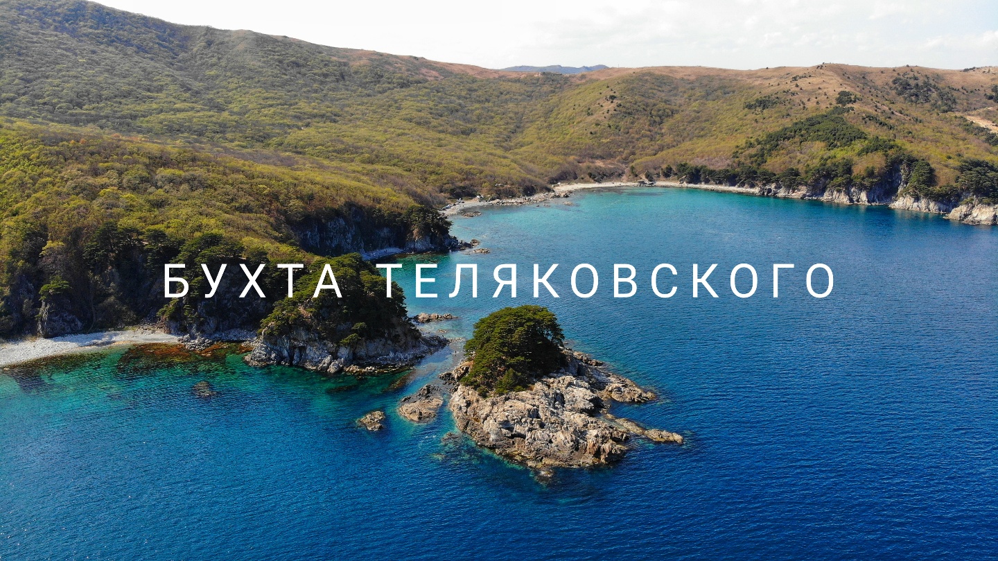 Бухта теляковского панорама