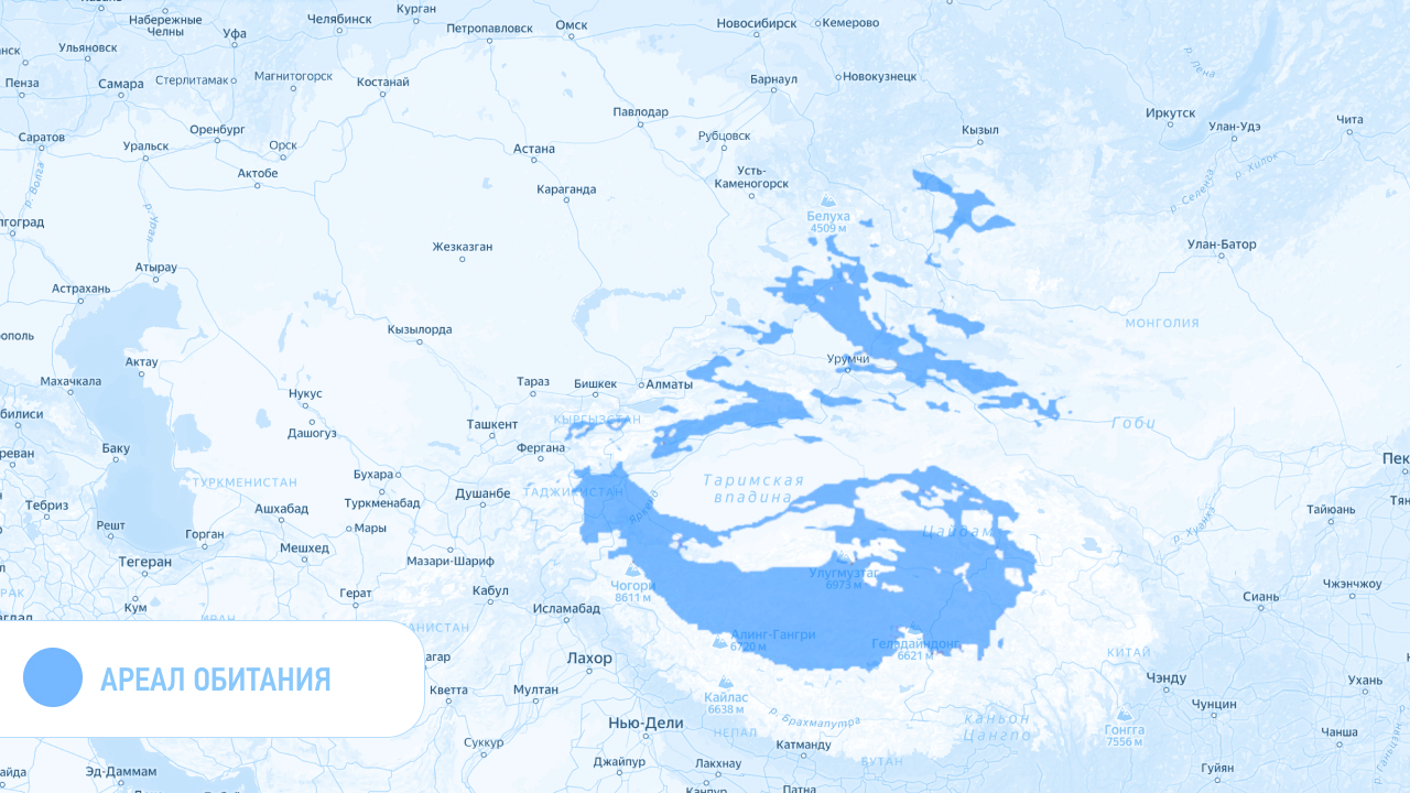 Ареал обитания барса