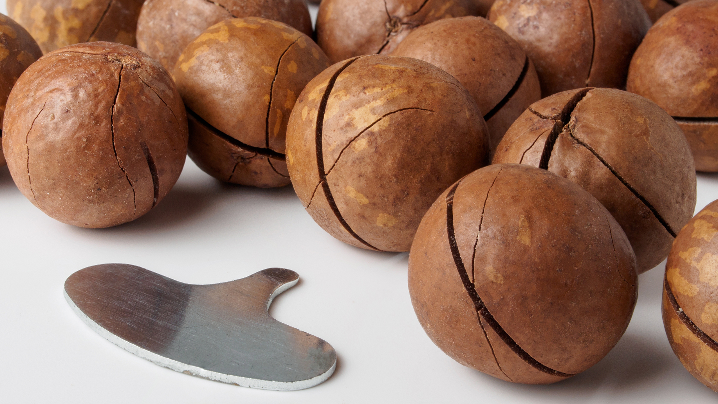макадамия