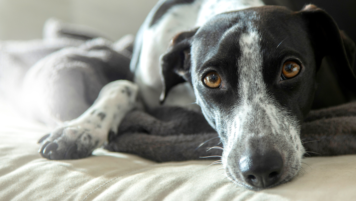 отравление мусором, угрозы для здоровья