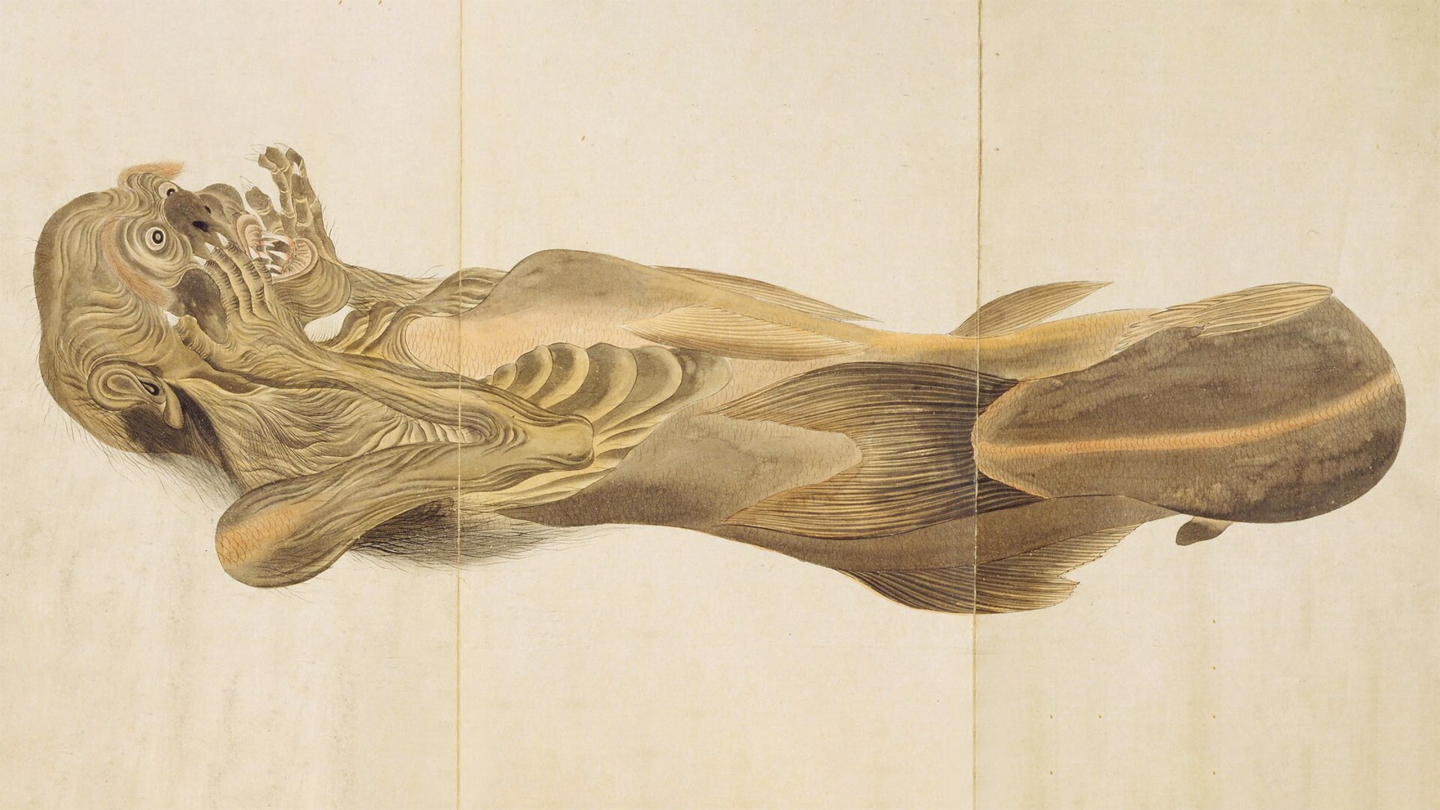 Фиджийская русалка