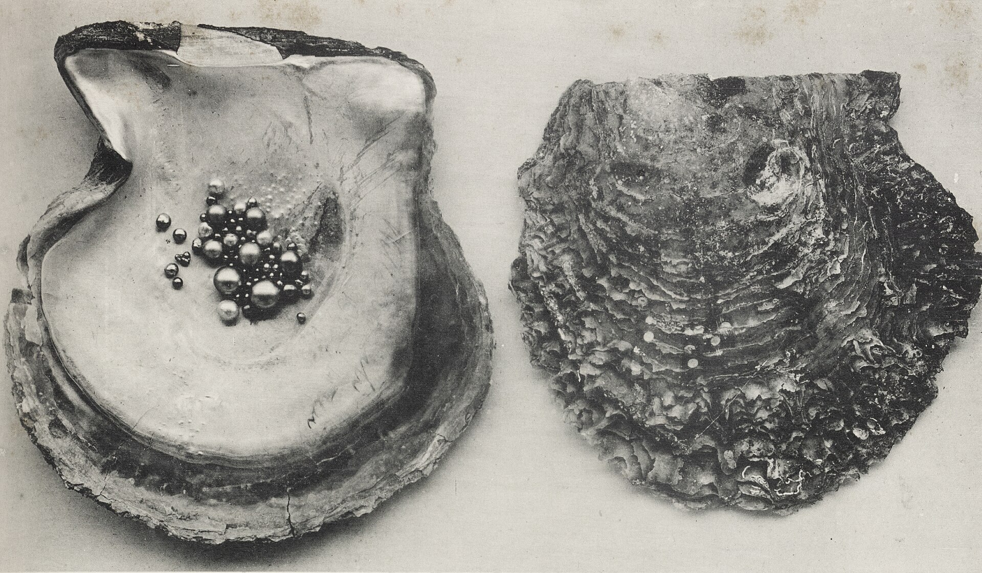 Ормузский пролив, жемчуг