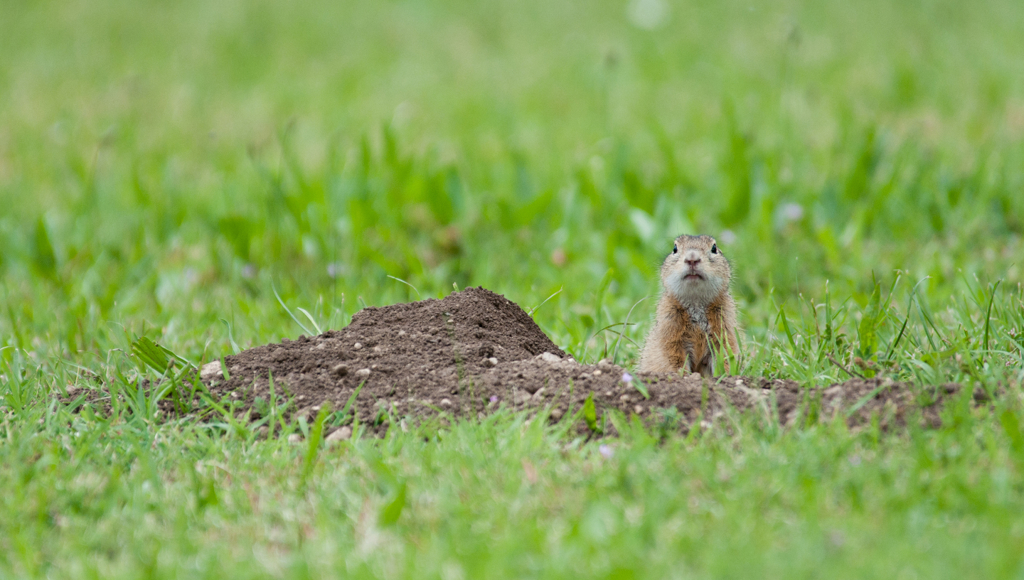образ жизни